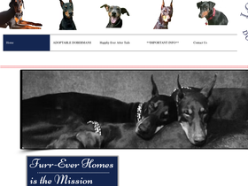 lonestardobermans.org