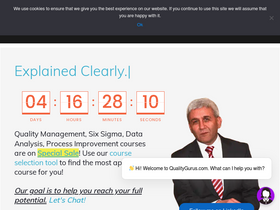 'qualitygurus.com' screenshot