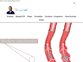 'ahmetakgul.com.tr' screenshot
