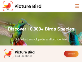 picturebirdai.com