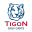 tigongolfcarts.com