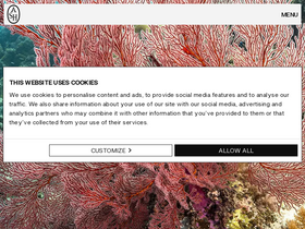 'ash.com' screenshot