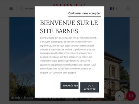 'barnes-international.com' screenshot