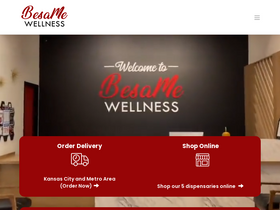 'besamewellness.com' screenshot