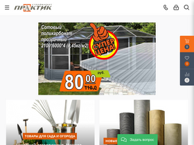 'borisov-praktik.by' screenshot