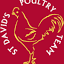 stdavids-poultryteam.co.uk