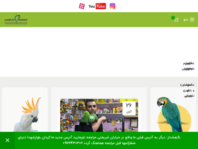 'world-parrot.com' screenshot