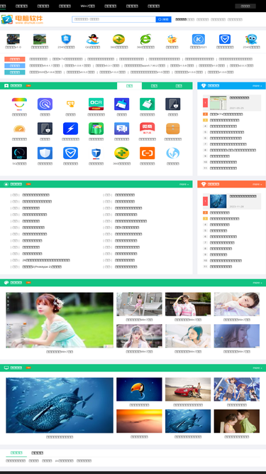 dnzhuti.com