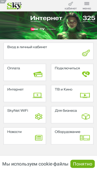 skynet.ru