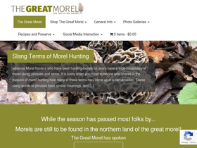 'thegreatmorel.com' screenshot