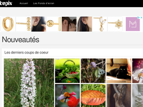 'foupix.com' screenshot