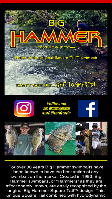swimbait.com