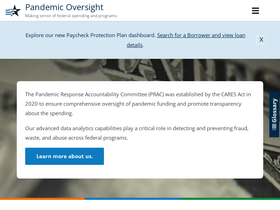 'pandemicoversight.gov' screenshot