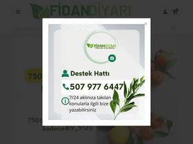 'fidandiyarim.com' screenshot