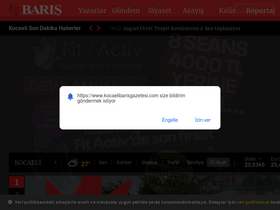 'kocaelibarisgazetesi.com' screenshot