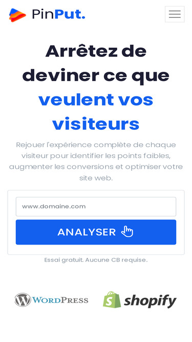 pinput.co