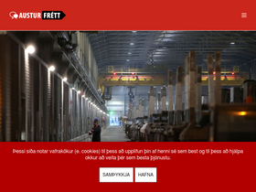 austurfrett.is