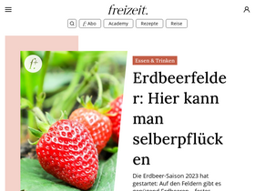 'freizeit.at' screenshot