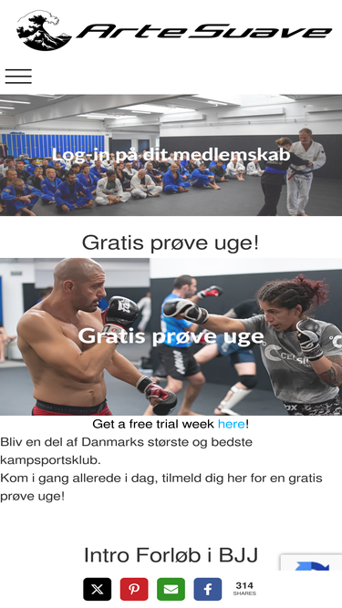 artesuave.dk