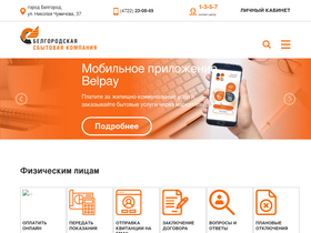 'belsbyt.ru' screenshot
