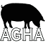 guineahogs.org