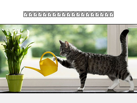 'rhinoos.xyz' screenshot