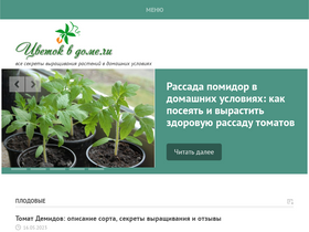 'cvetok-v-dome.ru' screenshot