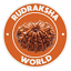 rudraksha-world.com