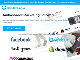 'brandchamp.io' screenshot