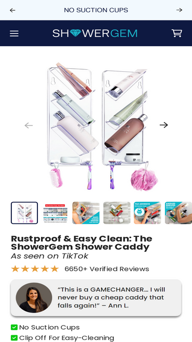 showergem.com
