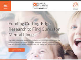 'bbrfoundation.org' screenshot