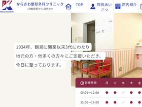 'karasawa.gr.jp' screenshot