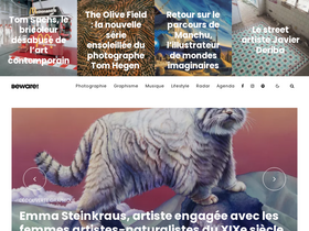 'bewaremag.com' screenshot