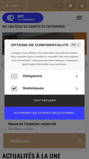 imt-grenoble.fr