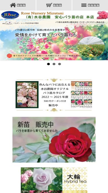 rose-m.jp