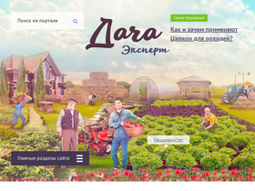 'dacha.expert' screenshot
