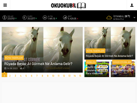 'okuokubil.com' screenshot