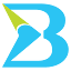 blueneem.com