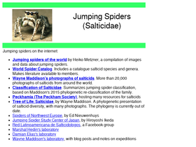 salticidae.org