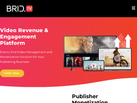 'brid.tv' screenshot
