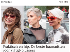 'trendystyle.net' screenshot