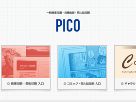 'pico-net.com' screenshot