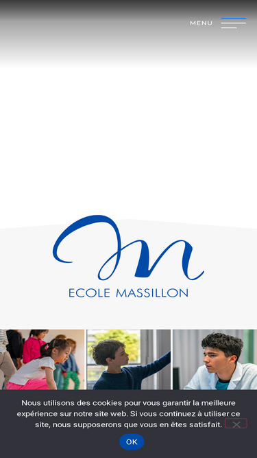 ecolemassillon.com