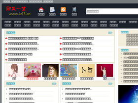 'lz13.cn' screenshot