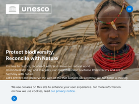 'unevoc.unesco.org' screenshot