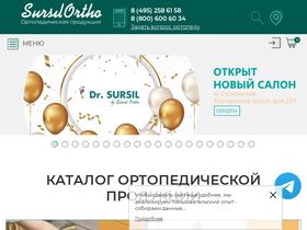 'sursil.ru' screenshot