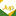 juparana.com.br
