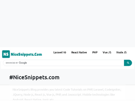 'nicesnippets.com' screenshot