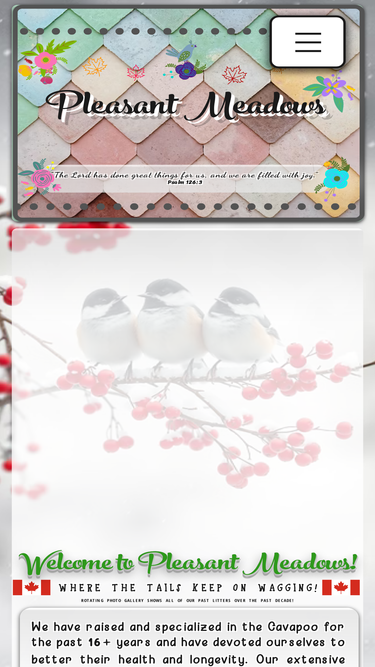 pleasantmeadowscanada.com