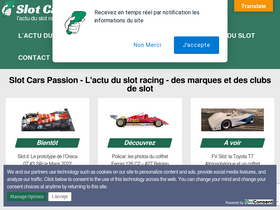 slotcarspassion.com